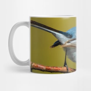 Little Cute Bird Photograph. Blue-Gray Gnatcatcher Mug